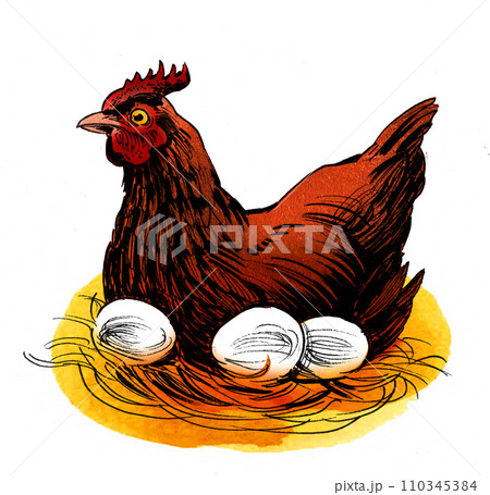 Hen with eggs. Hand-drawn ink and watercolor sketch Hen with eggs. Hand-drawn ink and watercolor sketch 110345384