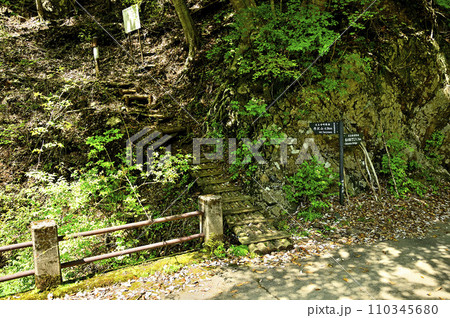 丹沢山地の丹沢山　天王寺尾根入口　本谷林道出合 110345680