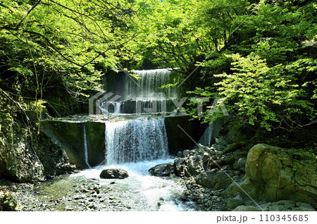 神奈川県道70号秦野清川線 塩水橋 新緑の塩水川 神奈川県道70号秦野清川線 塩水橋 新緑の塩水川 110345685