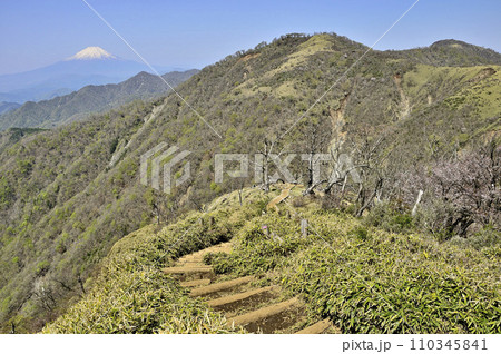 丹沢山地　春の丹沢山より富士山と丹沢主脈を望む 110345841