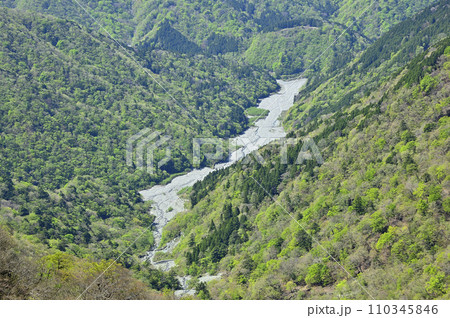 丹沢山地の丹沢山より　新緑のユーシン渓谷を望む 110345846