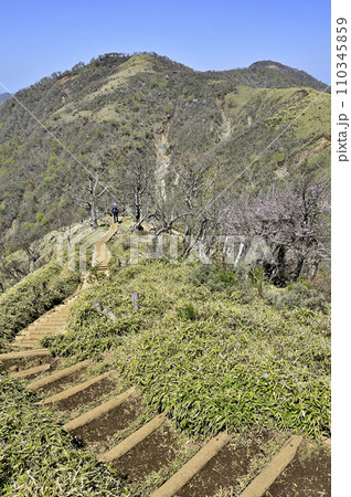 丹沢山地の丹沢山より　丹沢主脈の不動ノ峰と蛭ヶ岳 110345859
