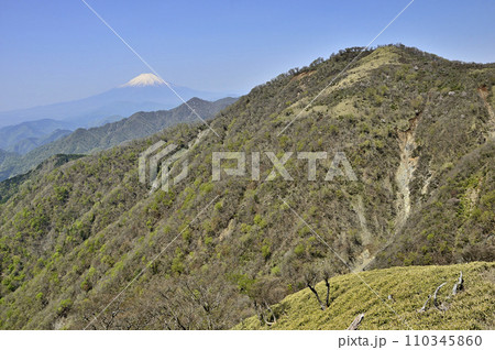 丹沢山地の丹沢山より　富士山と新緑の不動ノ峰 110345860