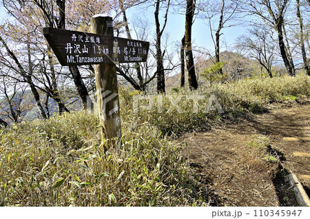 新緑の丹沢山地　丹沢主脈　日高の山頂と塔ノ岳 110345947