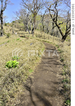 春の丹沢 丹沢主脈 竜ヶ馬場の道より丹沢山を望む 春の丹沢 丹沢主脈 竜ヶ馬場の道より丹沢山を望む 110345991