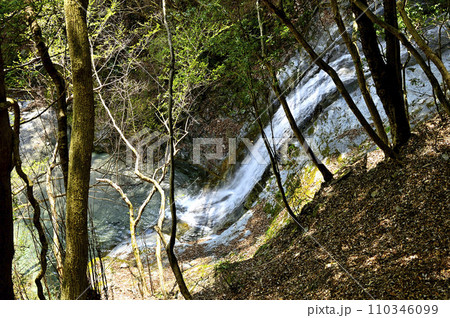 西丹沢の畦ヶ丸 大滝沢コースの大滝沢ノ滝 西丹沢の畦ヶ丸 大滝沢コースの大滝沢ノ滝 110346099