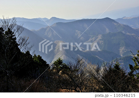 春の西丹沢 箒沢権現山北東尾根より遠見山 春の西丹沢 箒沢権現山北東尾根より遠見山 110346215