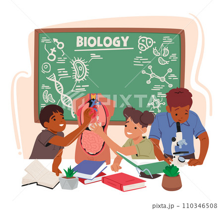 Enthusiastic Kids Engage In Hands-on Learning, Exploring The Intricacies Of Anatomy And Biology In A Classroom 110346508
