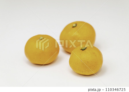 広島県呉市倉橋町の石地みかん 110346725