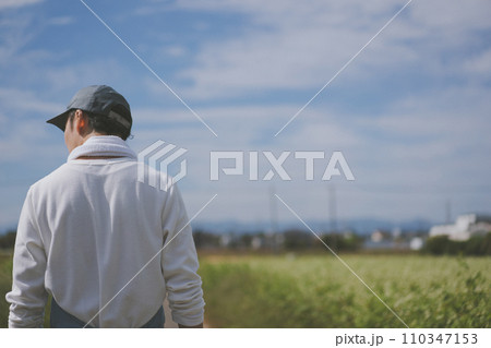 vegetable field 110347153