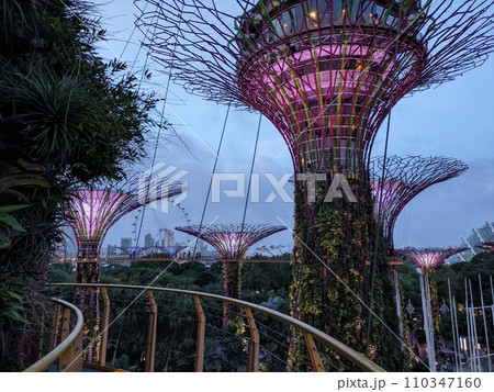 スカイラインから見たガーデンズ・バイ・ザ・ベイ スカイラインから見たガーデンズ・バイ・ザ・ベイ 110347160