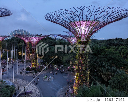 スカイラインから見たガーデンズ・バイ・ザ・ベイ2 スカイラインから見たガーデンズ・バイ・ザ・ベイ2 110347161