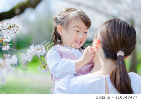 花見 女の子 お母さん 花見 女の子 お母さん 110347477