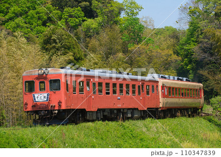 いすみ鉄道 キハ52 いすみ鉄道 キハ52 110347839