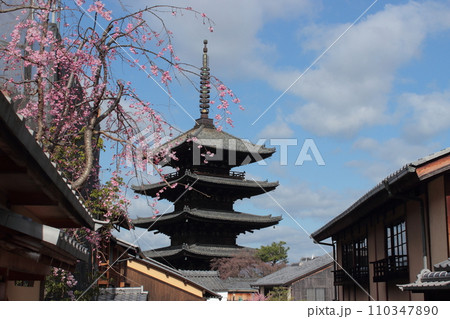 京都 春の八坂の塔 京都 春の八坂の塔 110347890