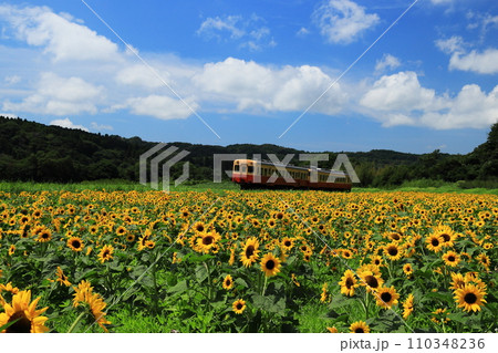 小湊鉄道 小湊鉄道 110348236