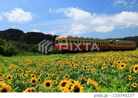 小湊鉄道 110348237