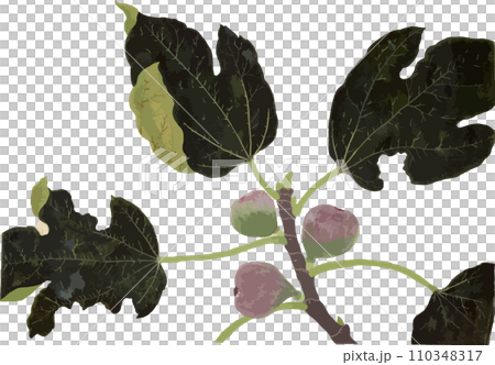 FIG FIG 110348317