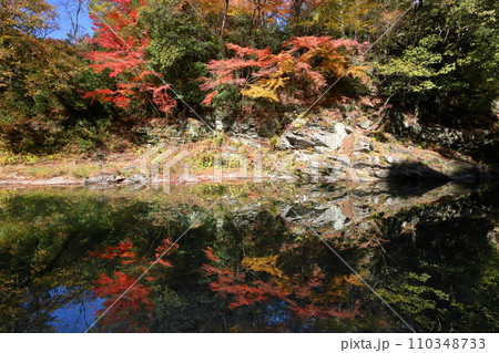 埼玉県比企郡嵐山町鎌形 武蔵嵐山渓谷の紅葉と槻川水面に映る水鏡 埼玉県比企郡嵐山町鎌形 武蔵嵐山渓谷の紅葉と槻川水面に映る水鏡 110348733