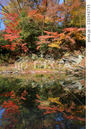 埼玉県比企郡嵐山町鎌形 武蔵嵐山渓谷の紅葉と槻川水面に映る水鏡 埼玉県比企郡嵐山町鎌形 武蔵嵐山渓谷の紅葉と槻川水面に映る水鏡 110348735