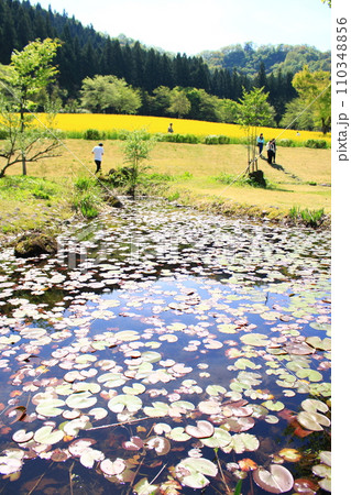 魚沼の里・菜の花畑 魚沼の里・菜の花畑 110348856