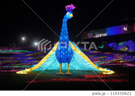 東京ドイツ村のイルミネーション。2022年11月。 110350622