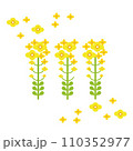 かわいい3本の菜の花のイラスト 110352977