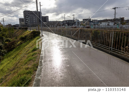 雨上がりの糸田川遊歩道【2024年1月撮影】 雨上がりの糸田川遊歩道【2024年1月撮影】 110353148