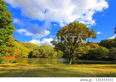 裏磐梯　曲沢沼／福島県北塩原村 110353503
