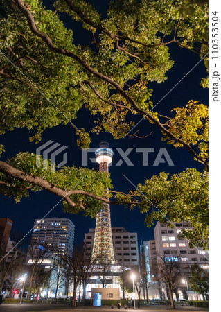 横浜市　山下公園のイルミネーション 110353504