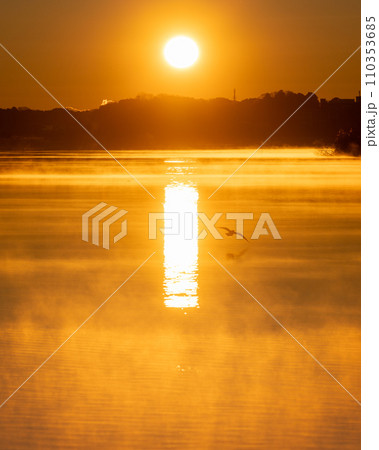 千葉県　手賀沼の朝 110353685