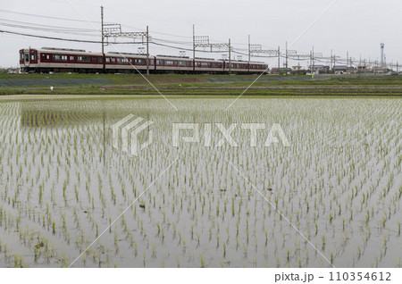 近鉄の急行列車(伊勢若松~千代崎) 近鉄の急行列車(伊勢若松~千代崎) 110354612