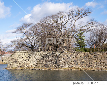 彦根城の石垣と中堀。滋賀県道25号彦根近江八幡線から12月に撮影。 彦根城の石垣と中堀。滋賀県道25号彦根近江八幡線から12月に撮影。 110354906