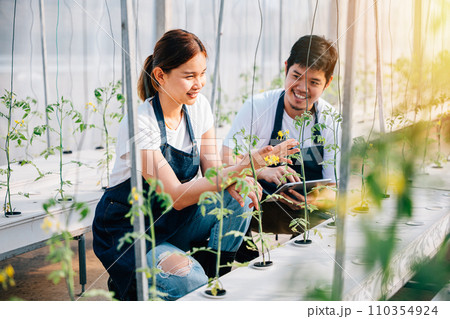 Cheerful Asian couple proud farmers happily working in greenhouse holding organic tomatoes and vegetables. Their confidence happiness reflect successful family-owned business in modern horticulture. Cheerful Asian couple proud farmers happily working in greenhouse holding organic tomatoes and vegetables. Their confidence happiness reflect successful family-owned business in modern horticulture. 110354924