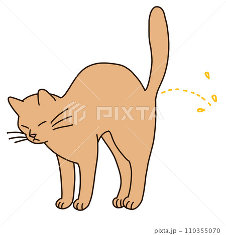 マーキングする猫のイラスト 110355070
