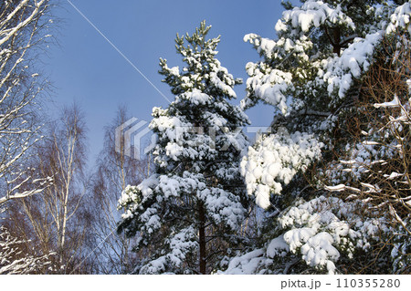 Snowy landscape reminding quiet, peaceful side of winter 110355280
