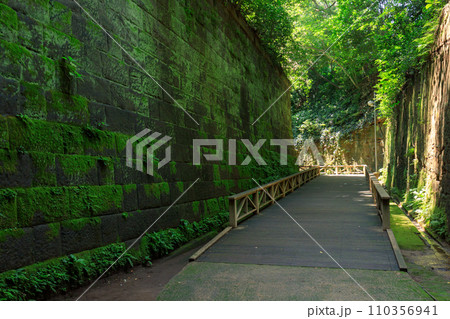 神奈川横須賀_猿島と戦争遺産の風景 110356941