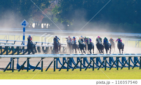 京都競馬場にてダートを疾走する競走馬たち 110357540