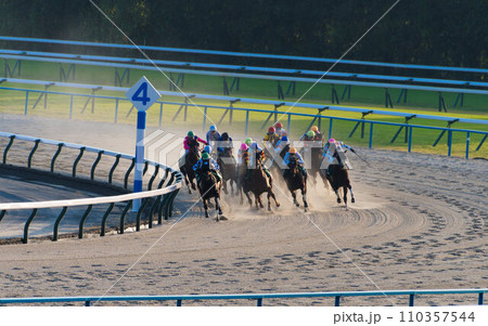 京都競馬場にてダートを疾走する競走馬たち 110357544