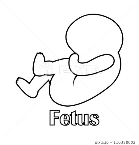 fetus icon 110358002