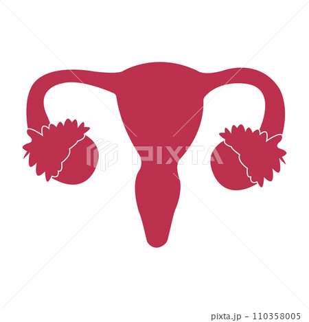 uterus icon 110358005