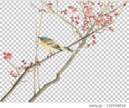 Flower and bird painting plum 110358616