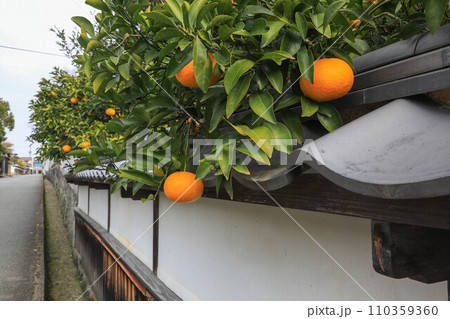 城下町　萩の町並み 110359360