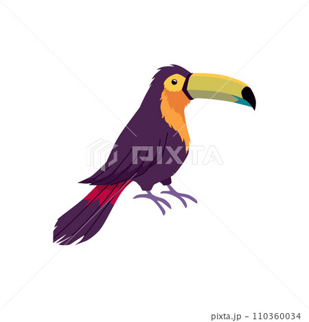 Tropical toucan bird on the branch, cartoon exotic wild bird with orange beak, jungle fauna animal isolated vector 110360034
