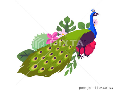 Beautiful peacock with put down amazing tail, tropical flora, vector peafowl bird with decorative feathers, plumage 110360133