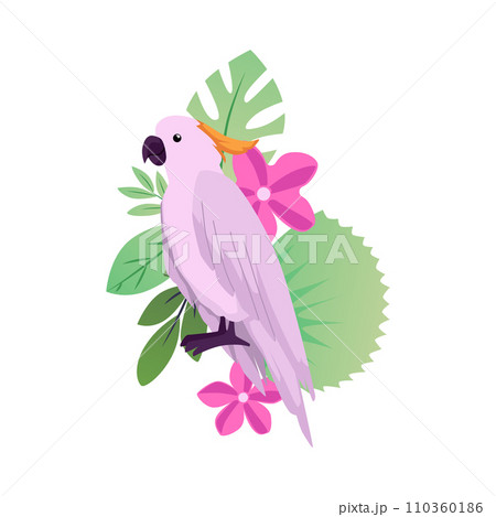 Beautiful Cockatoo on tropical flora, vector exotic parrot bird with pink feather, plumage and blossom wild flowers 110360186