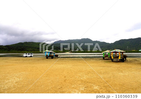 沖縄県由布島の水牛車 110360339