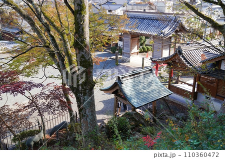兵庫 丹波篠山 春日神社 愛宕神社から見た随身門等の境内(表参道、晩秋) 兵庫 丹波篠山 春日神社 愛宕神社から見た随身門等の境内(表参道、晩秋) 110360472