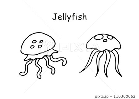 Jellyfish black and white. Doodle outline isolated illustration. Hand drawn design. Marine creatures, underwater life 110360662