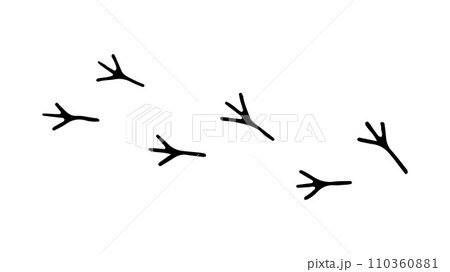 Footprints of a Bird. Editable Doodle hand drawn minimalistic icons. Tracks of Birds on the ground Footprints of a Bird. Editable Doodle hand drawn minimalistic icons. Tracks of Birds on the ground 110360881